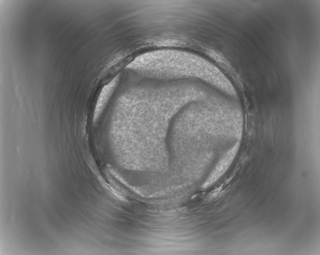 X0000051890201200507222024