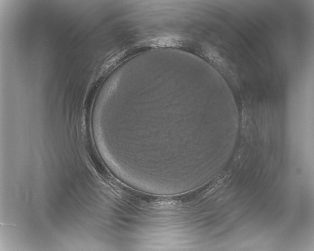 X0000051890202200507222024