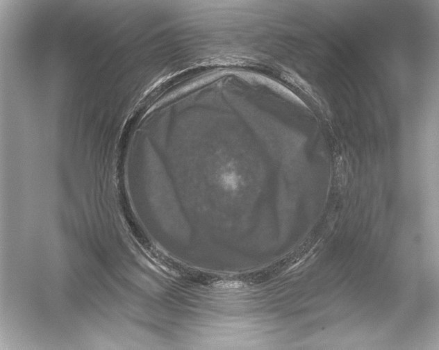 X0000051890203200507222024