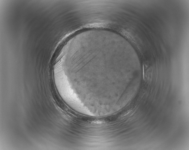 X0000051890204200507222024