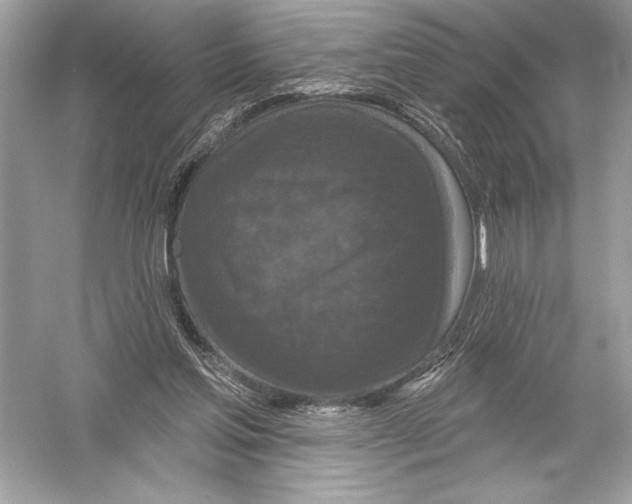 X0000051890205200507222024