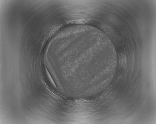 X0000051890206200507222024