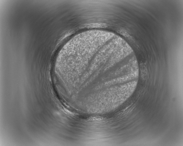 X0000051890207200507222024