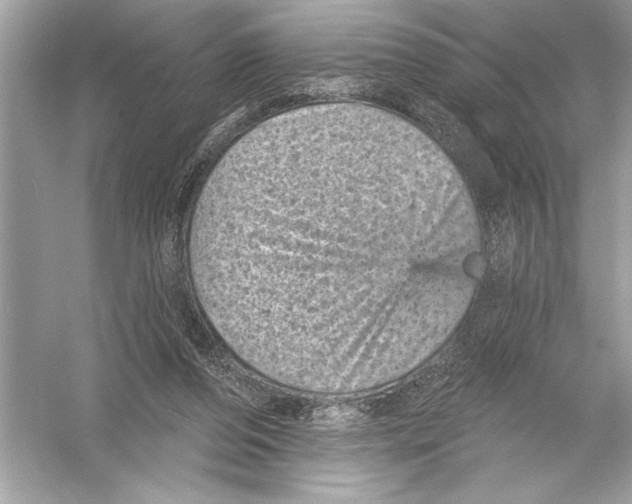 X0000051890208200507222024