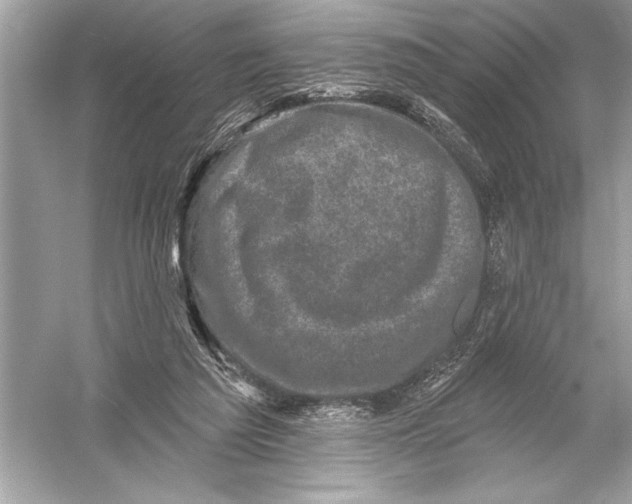 X0000051890209200507222024