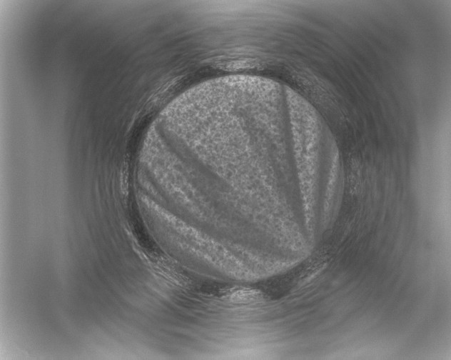 X0000051890210200507222024