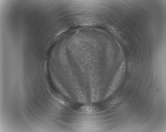 X0000051890211200507222024