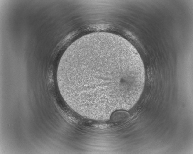 X0000051890212200507222024