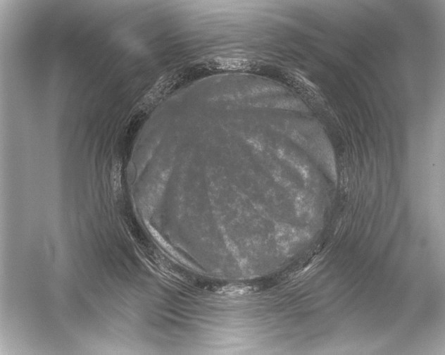 X0000051890213200507222024