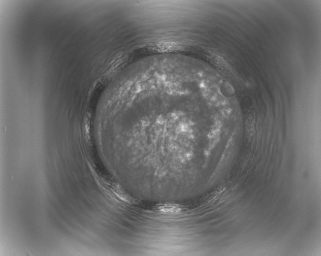 X0000051890214200507222024