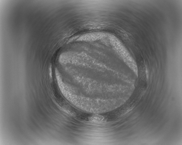 X0000051890215200507222024