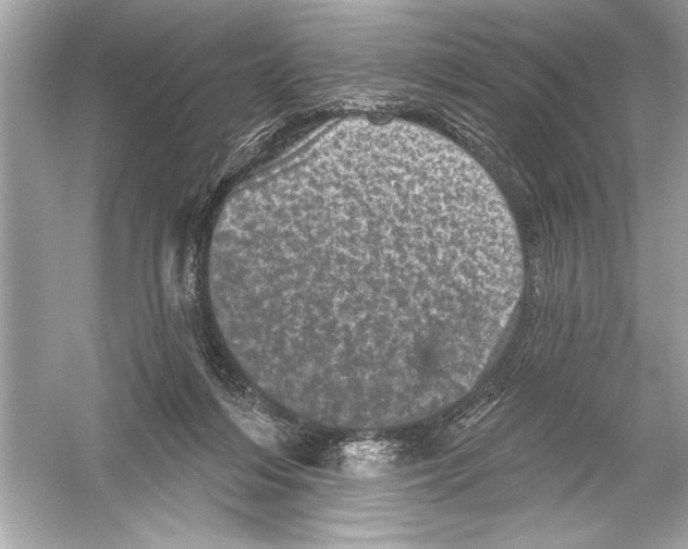 X0000051890216200507222024