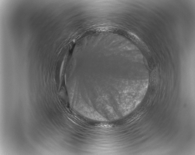 X0000051890217200507222024