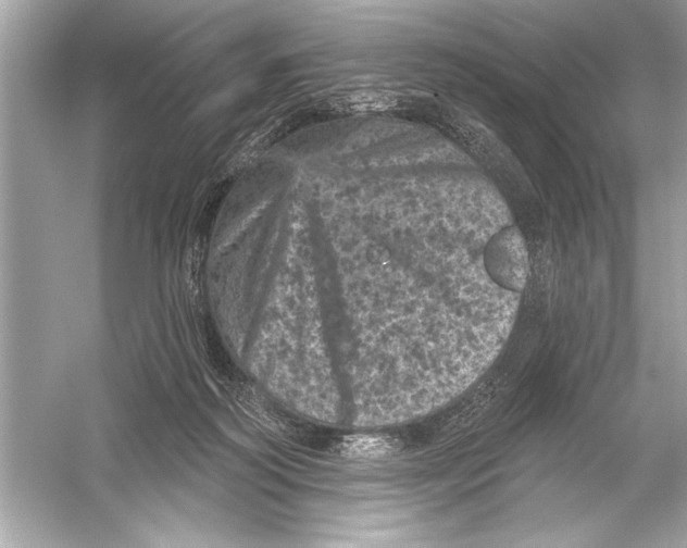 X0000051890218200507222024