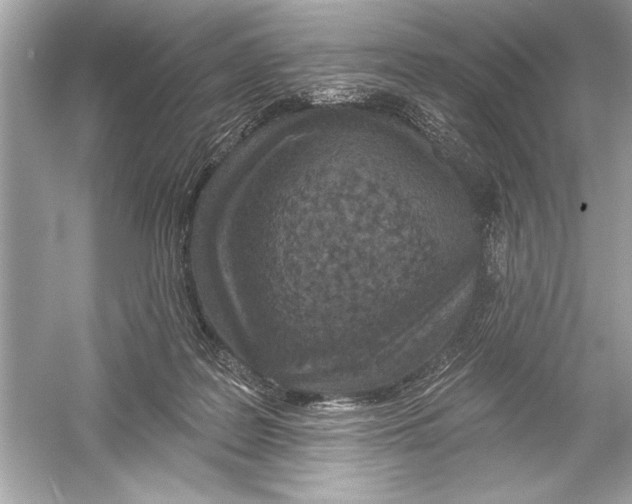 X0000051890219200507222024