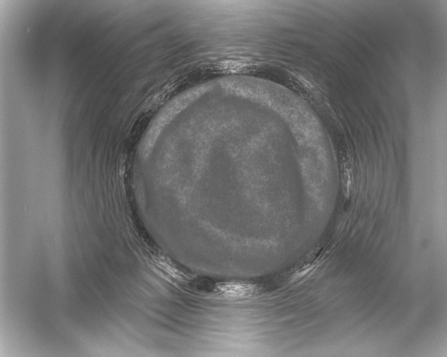 X0000051890221200507222024