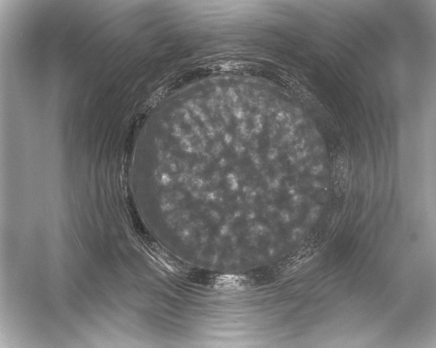 X0000051890222200507222024