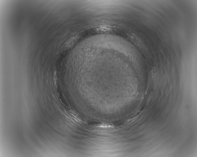 X0000051890223200507222024