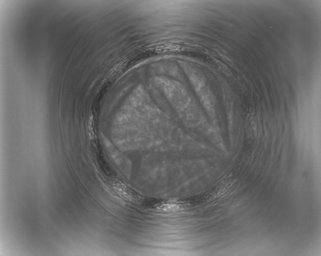 X0000051890224200507222024