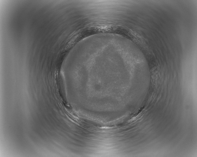 X0000051890225200507222024