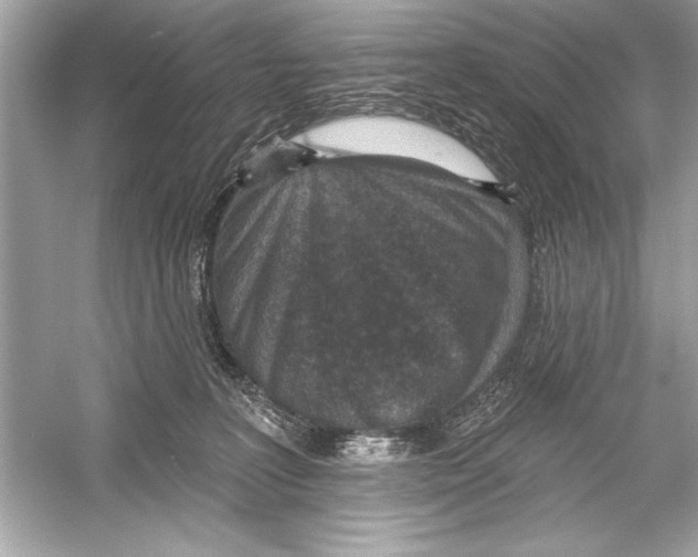 X0000051890227200507222024