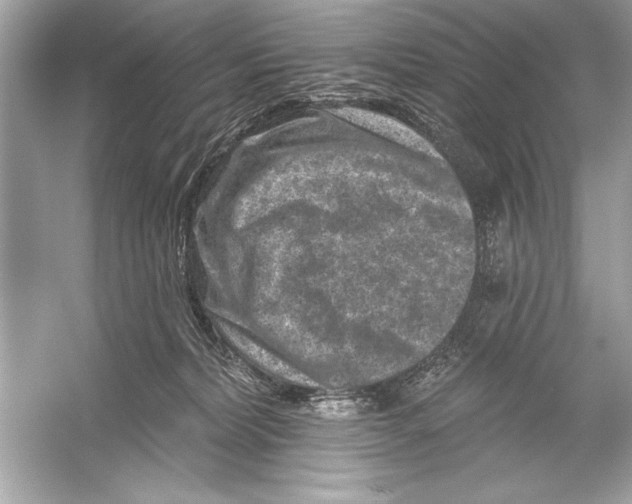 X0000051890228200507222024