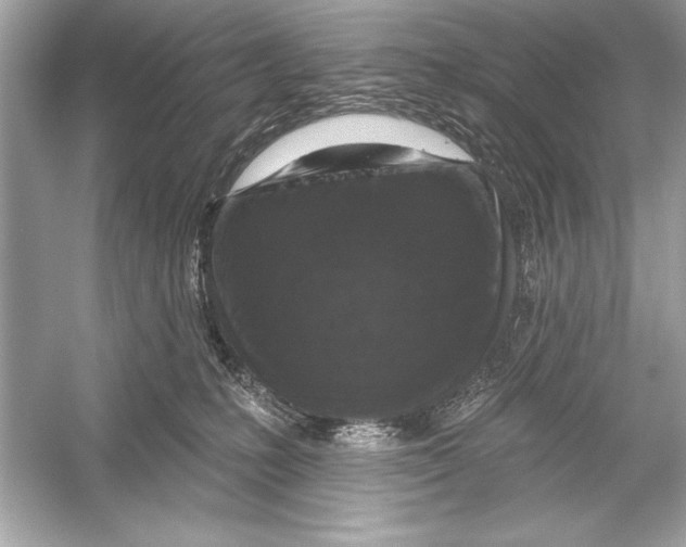 X0000051890231200507222024