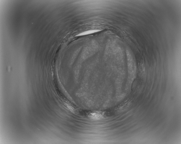 X0000051890232200507222024