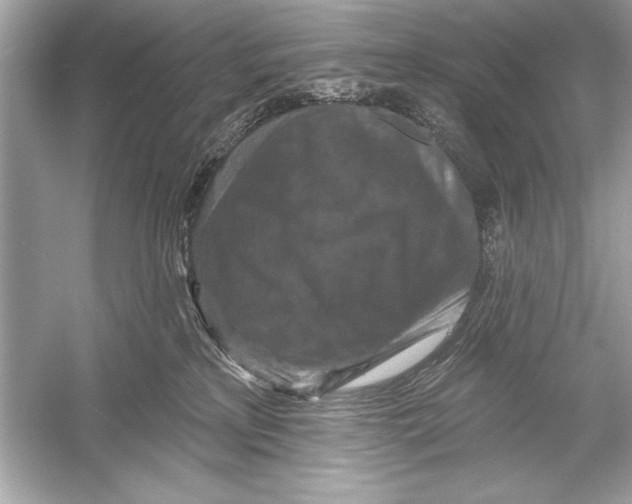 X0000051890233200507222024