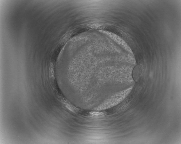 X0000051890234200507222024