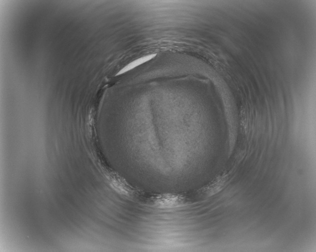 X0000051890235200507222024