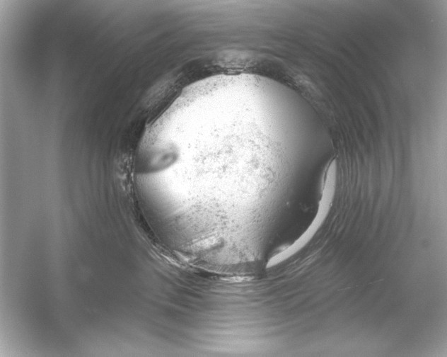 X0000051890237200507222024