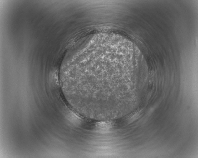 X0000051890238200507222024