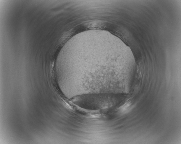 X0000051890239200507222024