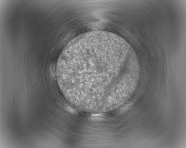 X0000051890240200507222024