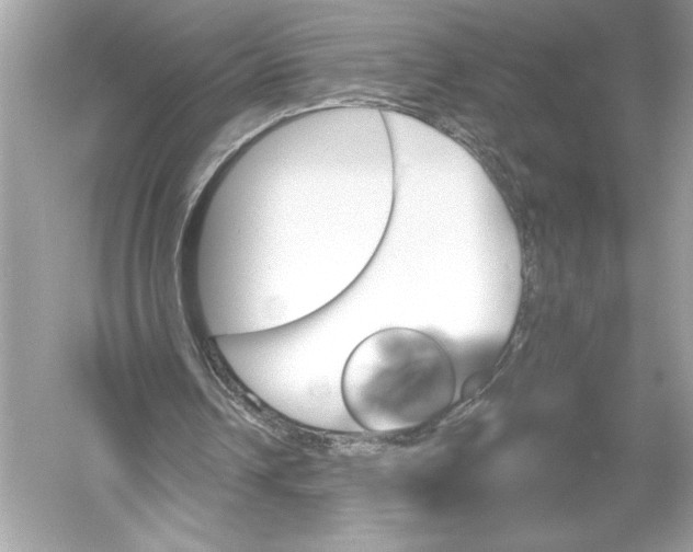 X0000051890242200507222023