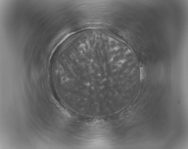 X0000051890243200507222023