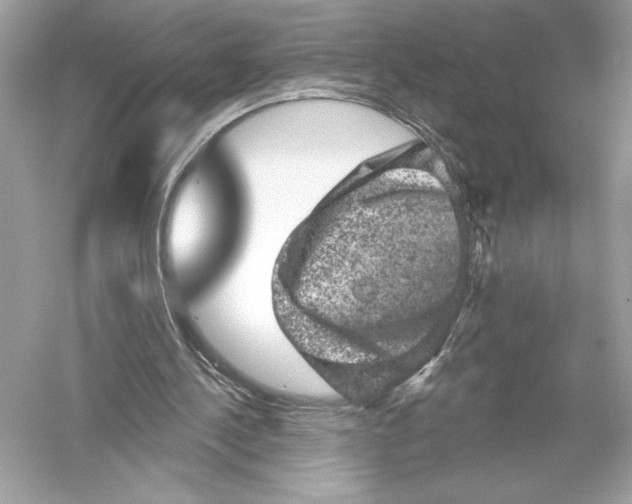 X0000051890244200507222023