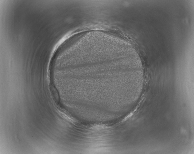 X0000051890246200507222023