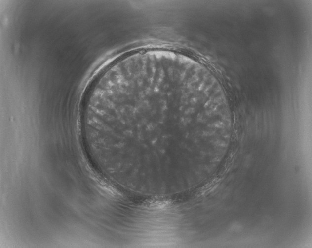 X0000051890247200507222023