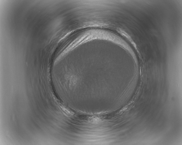 X0000051890249200507222023