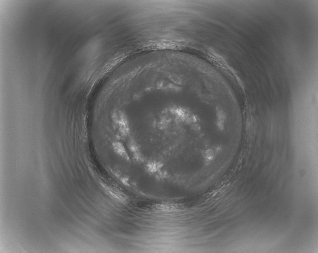 X0000051890250200507222023