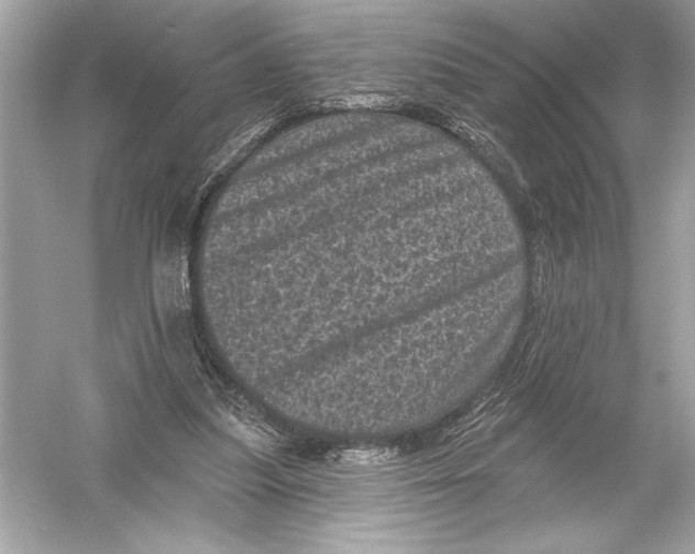 X0000051890251200507222023