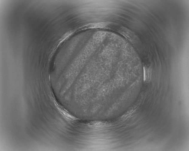 X0000051890253200507222023