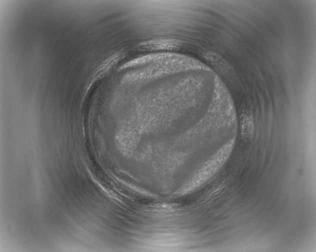 X0000051890254200507222023