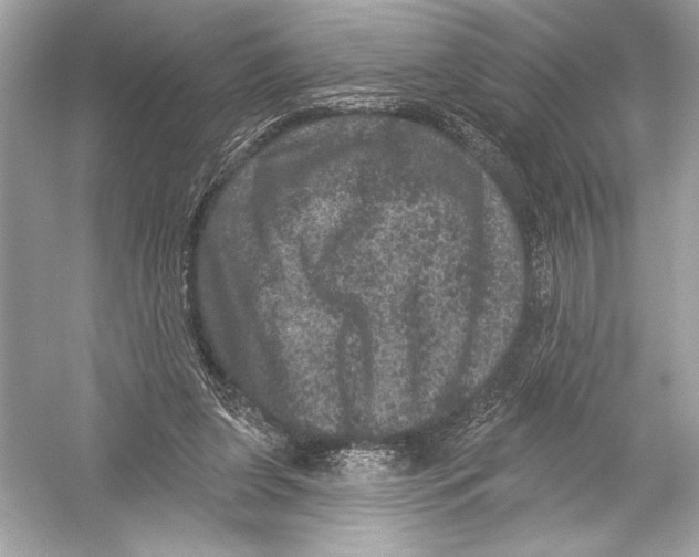 X0000051890255200507222023