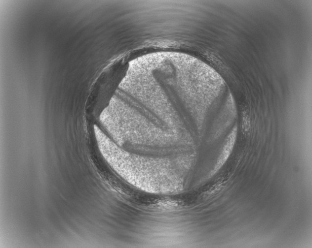 X0000051890256200507222023