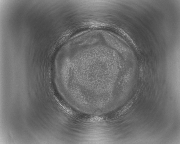 X0000051890257200507222023