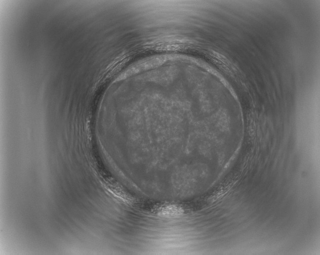 X0000051890258200507222023