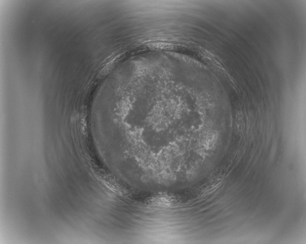 X0000051890259200507222023